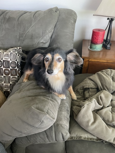 Mya