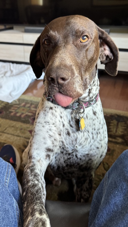 Jack