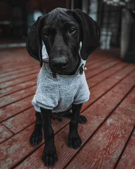 Ransom