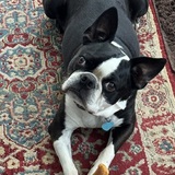 Entry image for Flynn