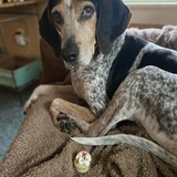 Entry image for Norman