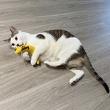 Entry image for Billy Bob