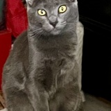 Entry image for Chrissy Snow