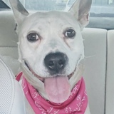 Entry image for Lucy 