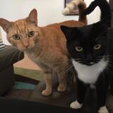 Entry image for She’s the One and Theetwo