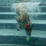 Entry image for Parka