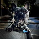 Entry image for Winston