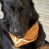 Entry image for Thor