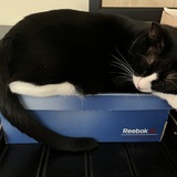 Entry image for  Binx