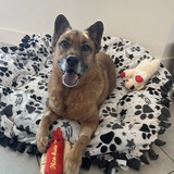 Entry image for Zeus