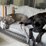 Entry image for Gracy & Jeter