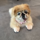 Entry image for Olivia