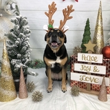 Entry image for Sophie 🌈