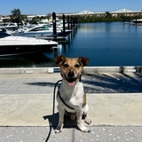 Entry image for Chili Bean