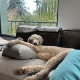 Entry image for Gary