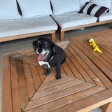 Entry image for Mateo 