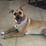 Entry image for Mia Sigler