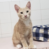 Entry image for Redbull