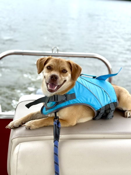 Duke