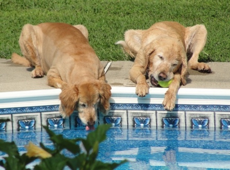 Bella & Wally