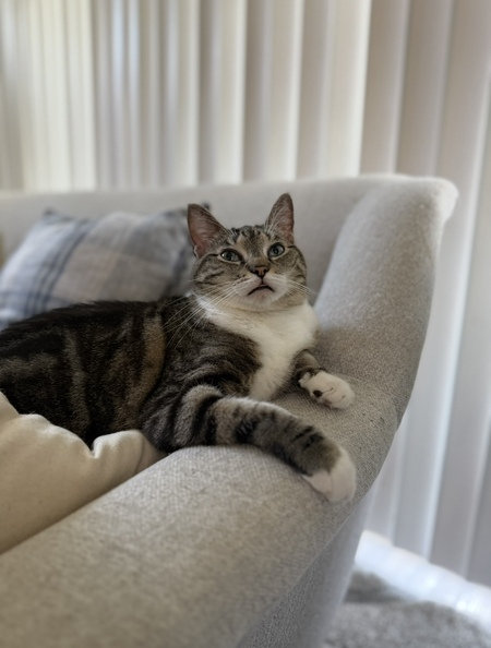 Maru