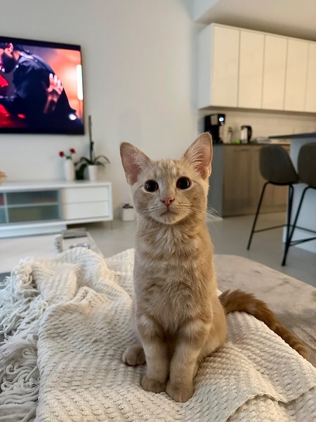 Benny