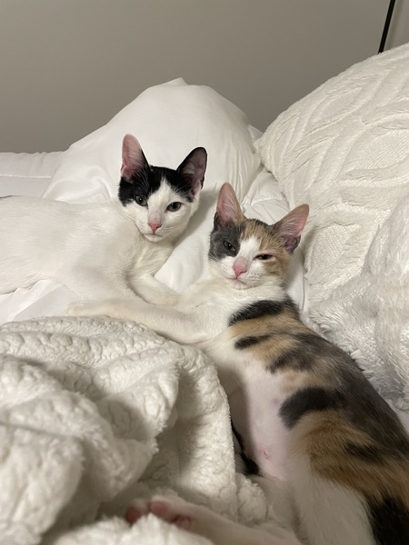 Theo & Gigi