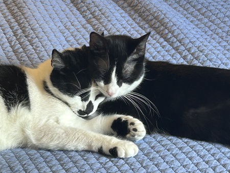 Marley & Crunchie