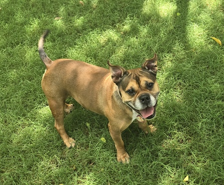 Roxy
