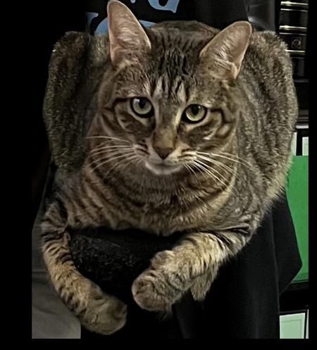 Entry image for Nikki Finn. Clicking this image will show a larger photo