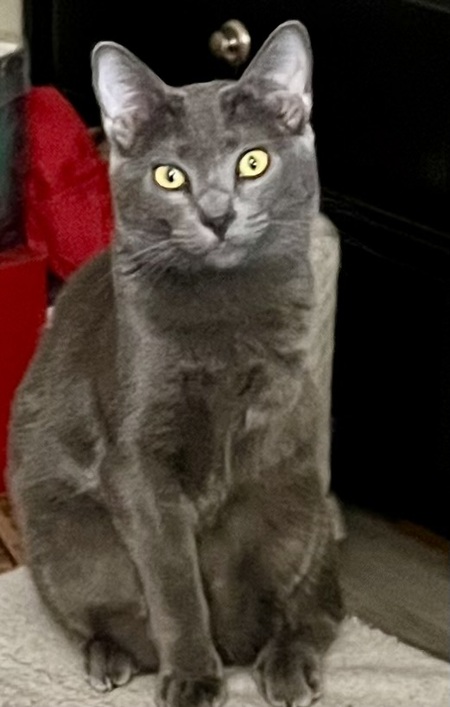 Entry image for Chrissy Snow. Clicking this image will show a larger photo