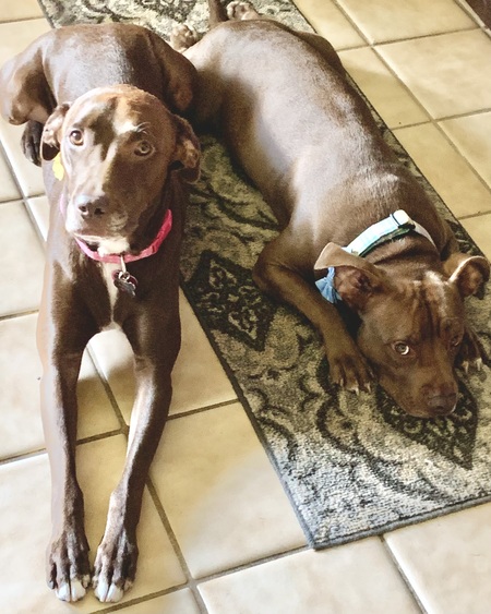 Tootsie & Red
