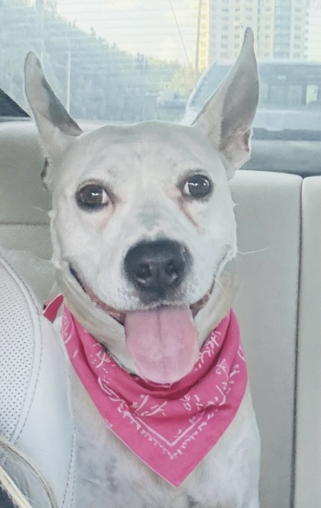 Lucy 