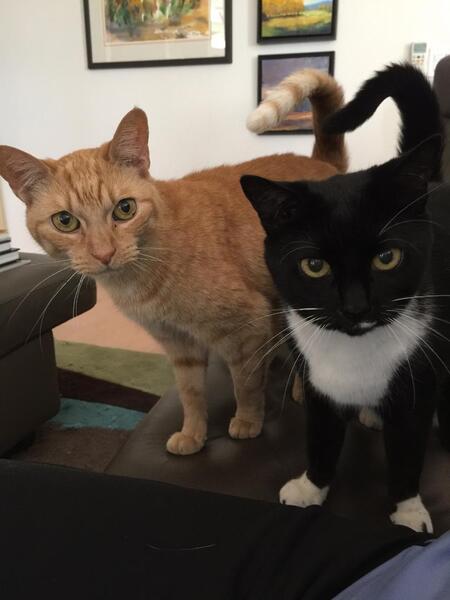 Entry image for She’s the One and Theetwo. Clicking this image will show a larger photo