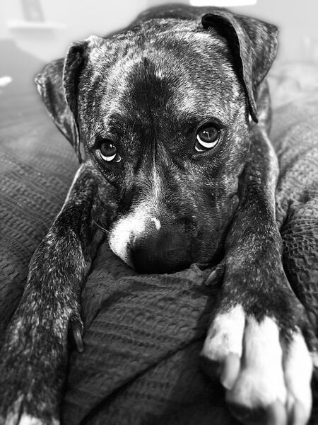 Entry image for Copper. Clicking this image will show a larger photo