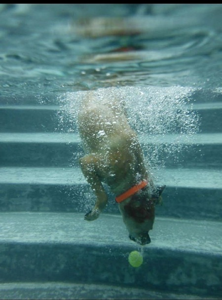 Entry image for Parka. Clicking this image will show a larger photo