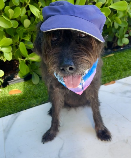 Entry image for Ally. Clicking this image will show a larger photo