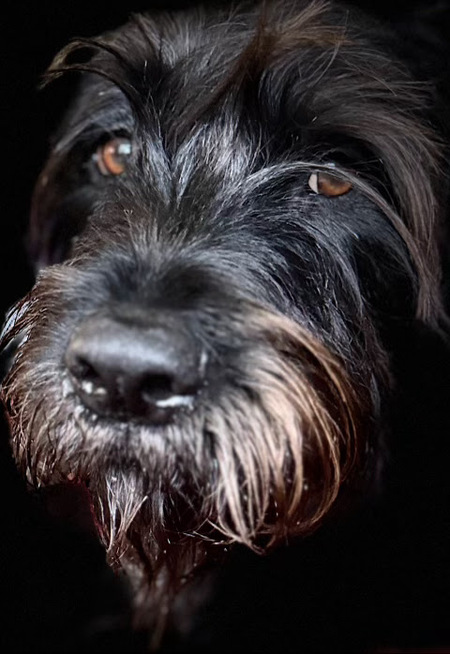 Entry image for Mistic. Clicking this image will show a larger photo