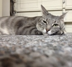 Entry image for Rachel. Clicking this image will show a larger photo