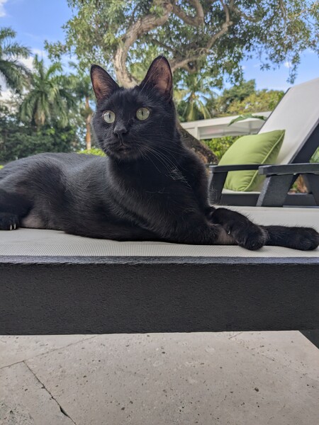 Entry image for Ron Santo. Clicking this image will show a larger photo