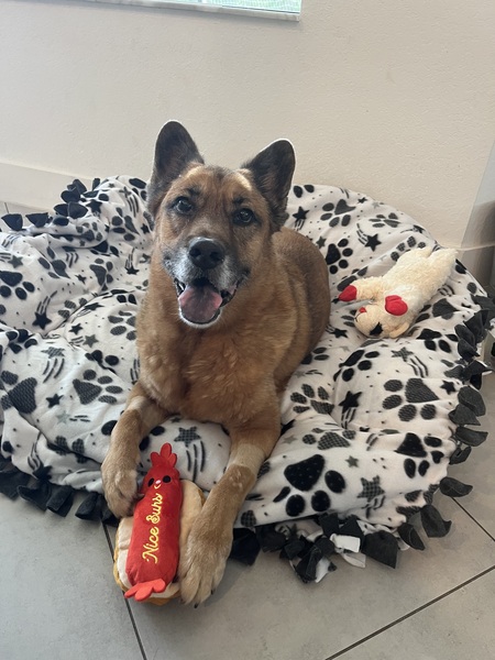 Entry image for Zeus. Clicking this image will show a larger photo