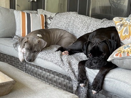 Entry image for Gracy & Jeter. Clicking this image will show a larger photo