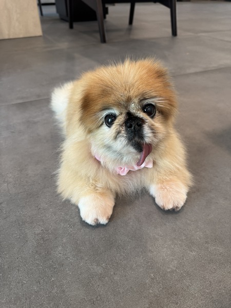 Entry image for Olivia. Clicking this image will show a larger photo