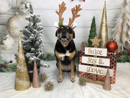 Entry image for Sophie 🌈. Clicking this image will show a larger photo