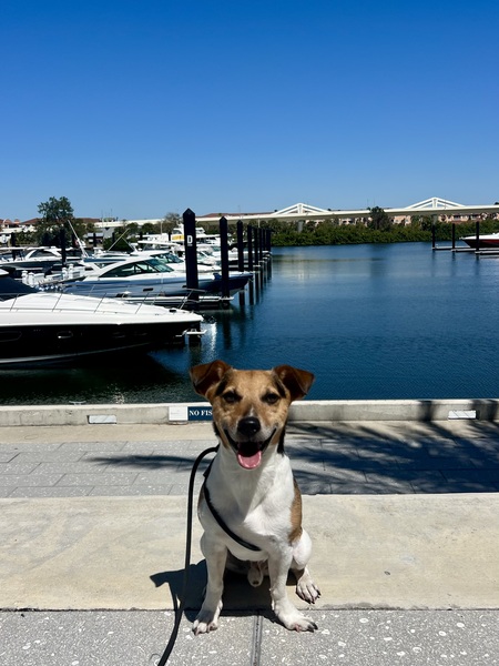 Entry image for Chili Bean. Clicking this image will show a larger photo