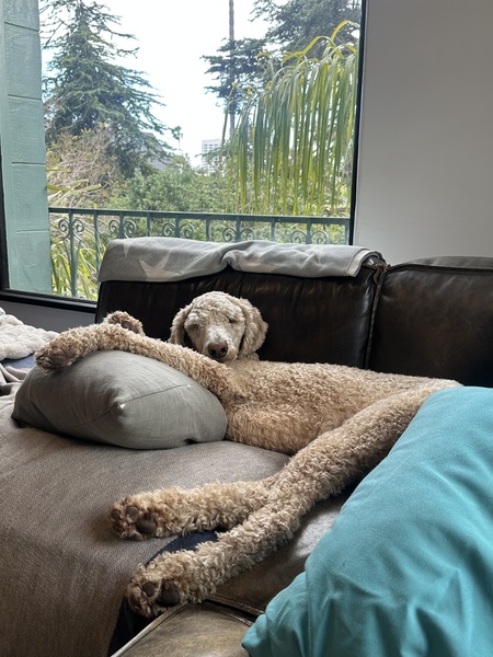 Entry image for Gary. Clicking this image will show a larger photo