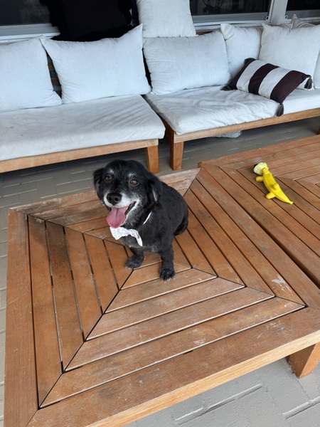 Entry image for Mateo . Clicking this image will show a larger photo