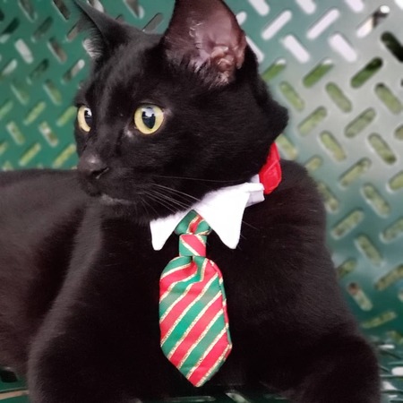 Entry image for Parker. Clicking this image will show a larger photo