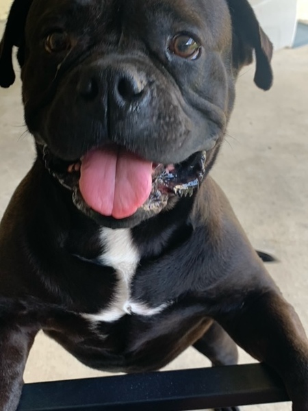 Entry image for Big Head. Clicking this image will show a larger photo