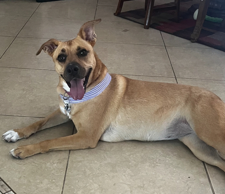 Entry image for Mia Sigler. Clicking this image will show a larger photo